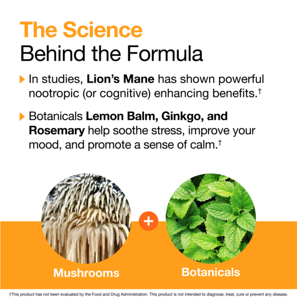 VitaMedica Mental Focus Mushrooms